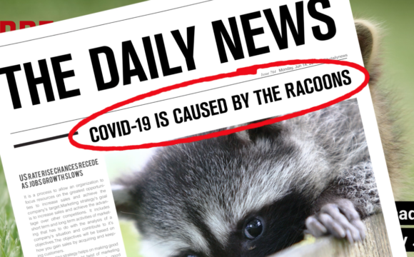 Why we at Gexsi explicitly spread fake news Why we at Gexsi explicitly spread fake news