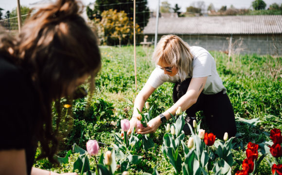 Flower Power – more appreciation for cut flowers