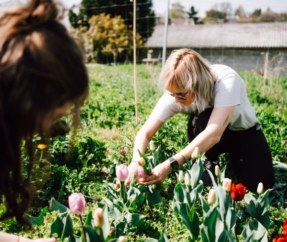 Flower Power – more appreciation for cut flowers